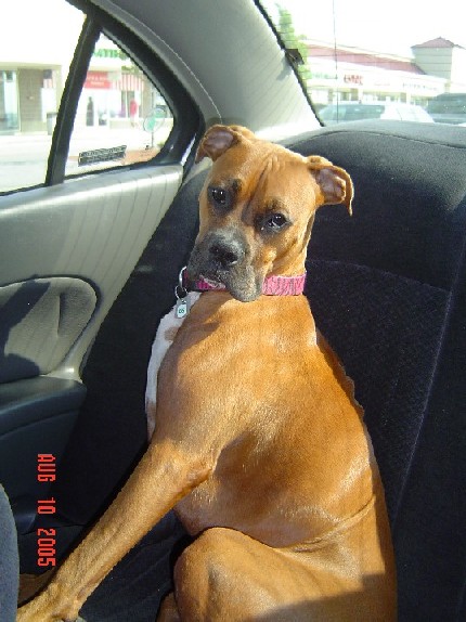 Madison in car