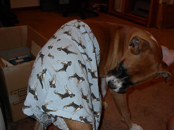 Madison In Daddy's Boxer "Boxer" Shorts