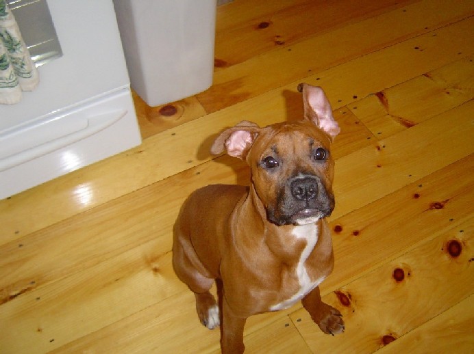 Madison in kitchen