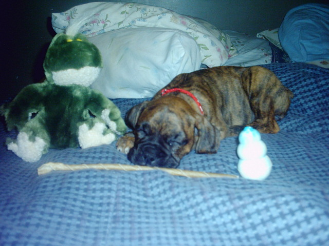 Madison's first day home