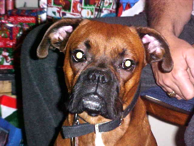 Maggie 12/25/03