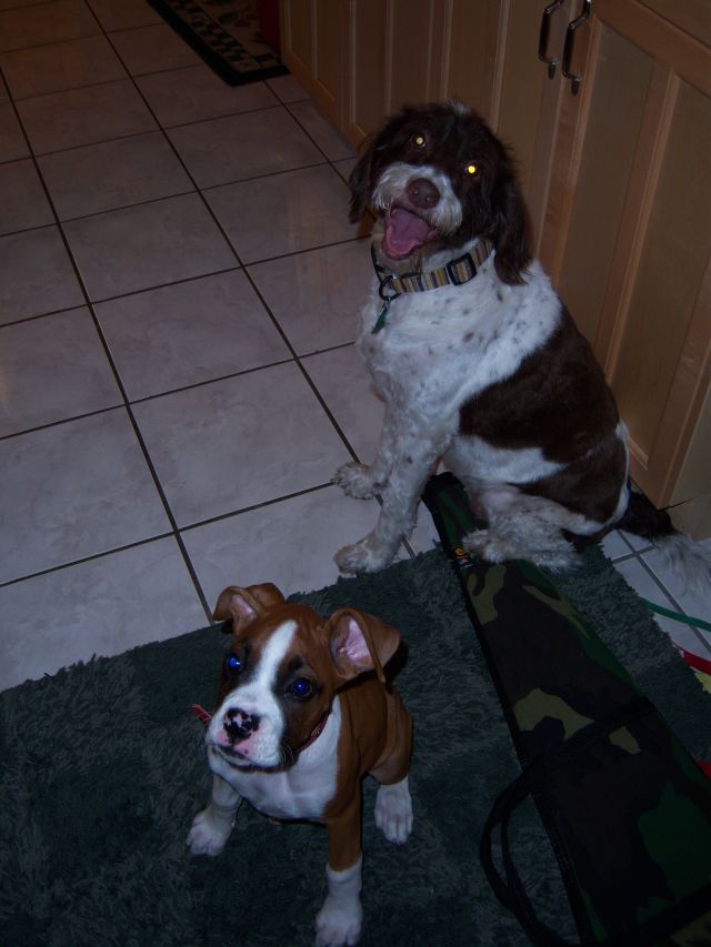 maggie and ali