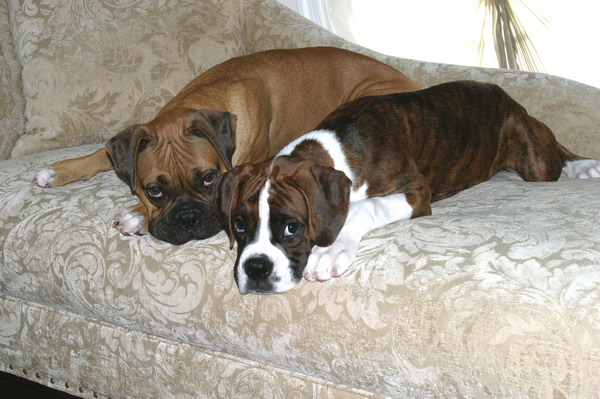 Maggie and Baxter