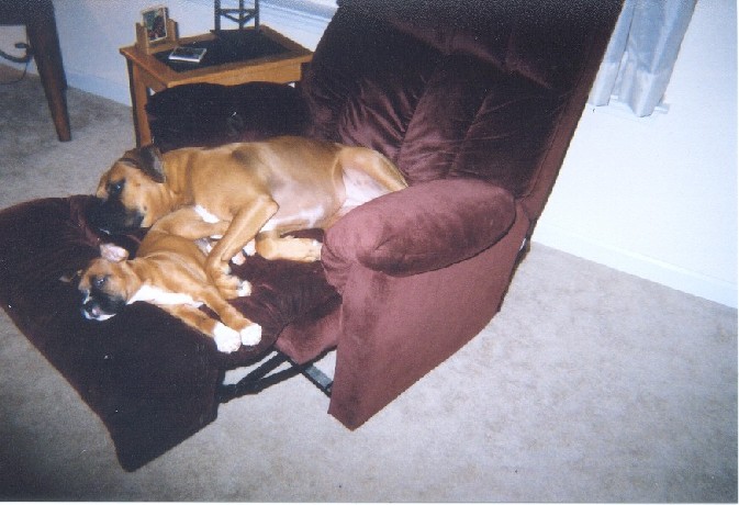 Maggie and Harley