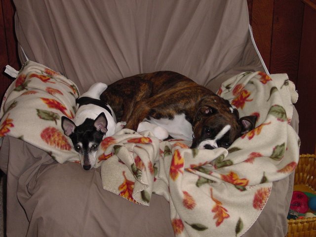 Maggie and Nipper