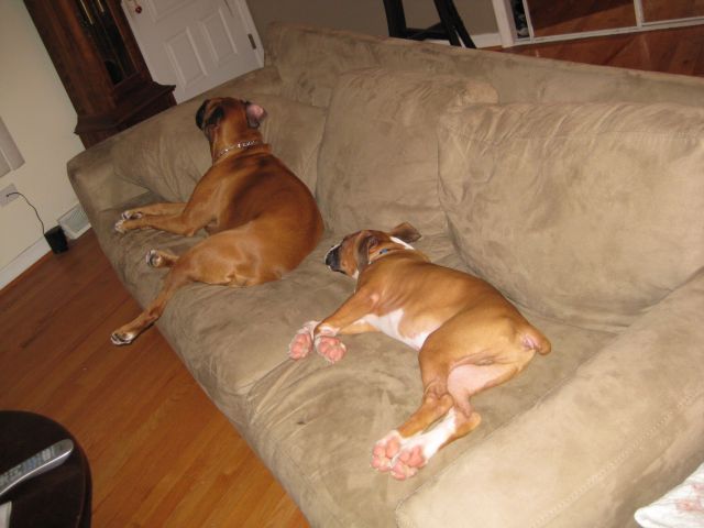 Maggie and Otis