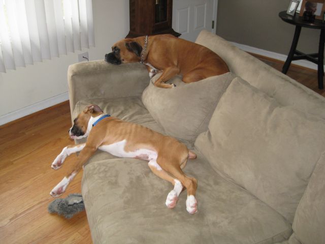 Maggie and Otis