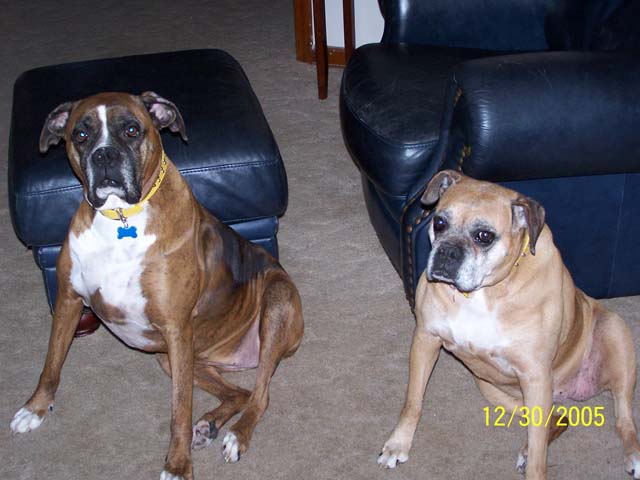 Maggie and Roxie