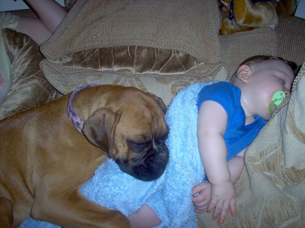 Maggie cuddling jnr