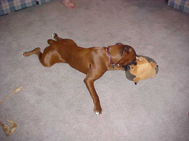 Maggie & Hermie