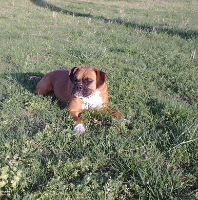 Maggie Mae