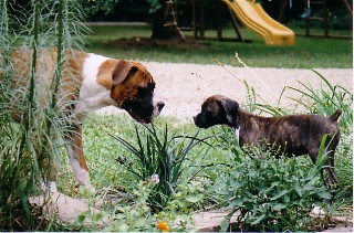 Maggie meeting Isabelle
