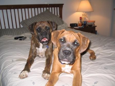 Maggie & Moose Aug 2005