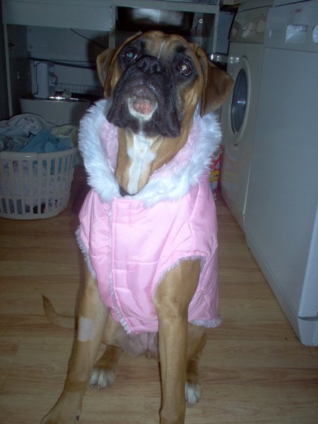 maggie new coat