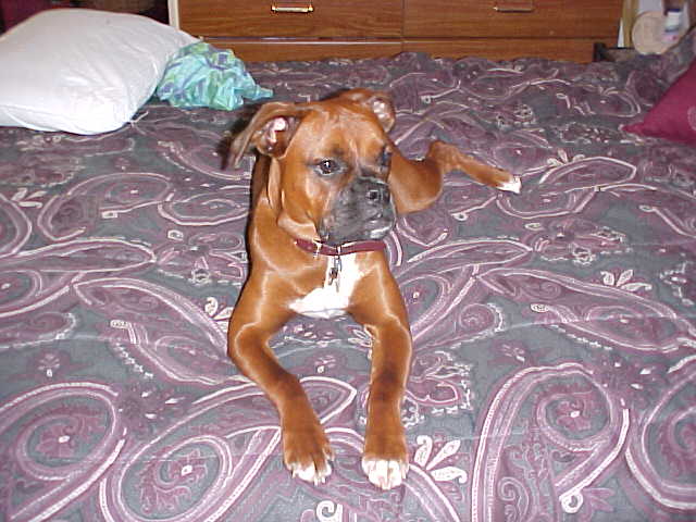 Maggie on HER bed