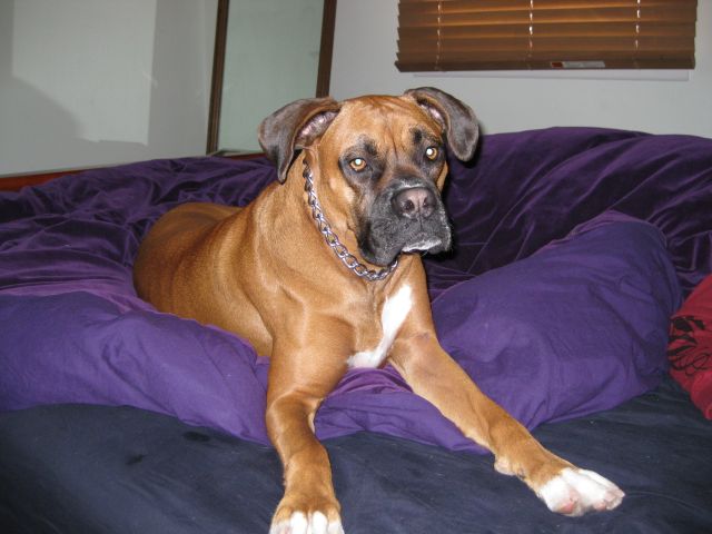 Maggie Relaxing