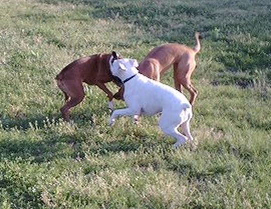 Maggie & Susie Playing