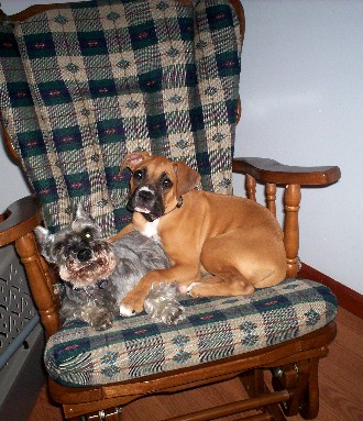 Maggie trying to share a seat...