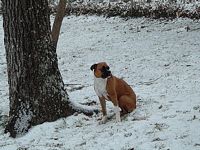 Maggie