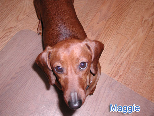 Maggie