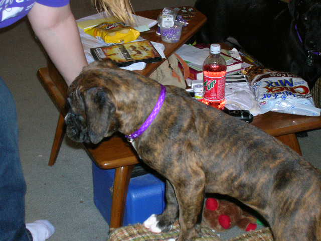 Maggie