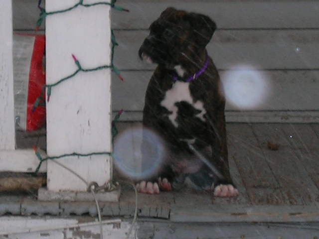 Maggie