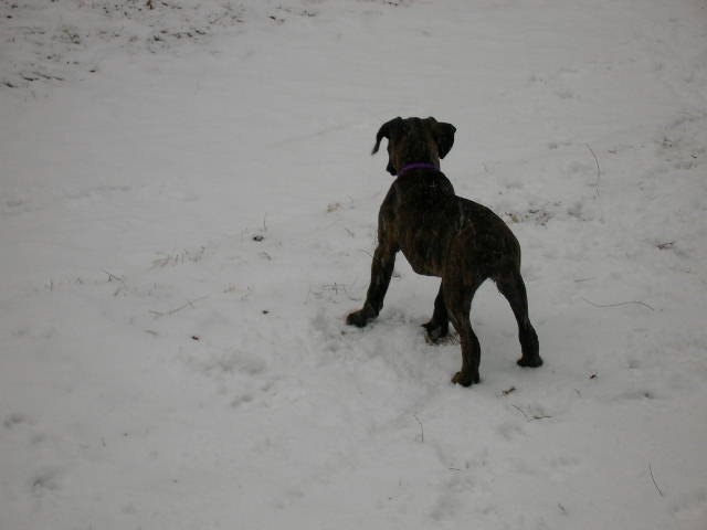 Maggie