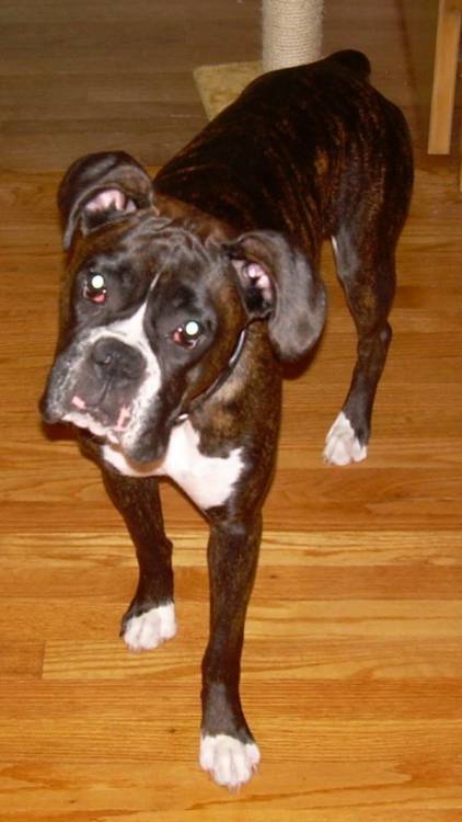 Maggie