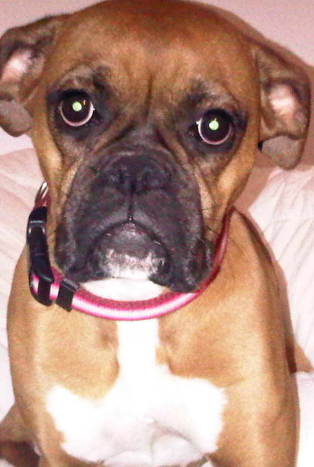 Maggie