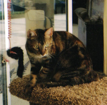 maggie1