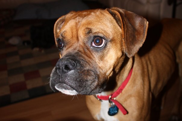 Maggie2