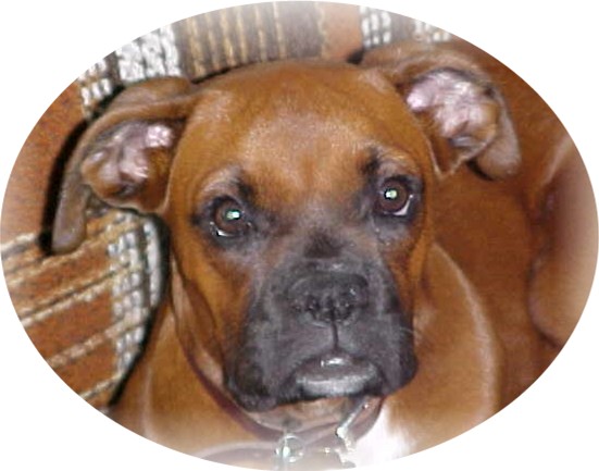 Maggie's First Portrait