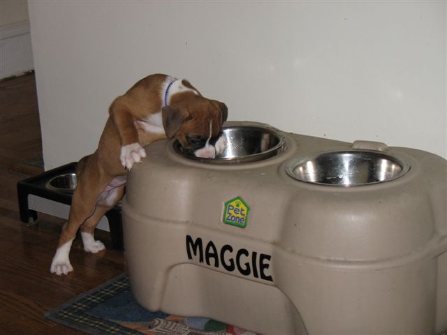 Maggie's Water Taste Better Than Mine