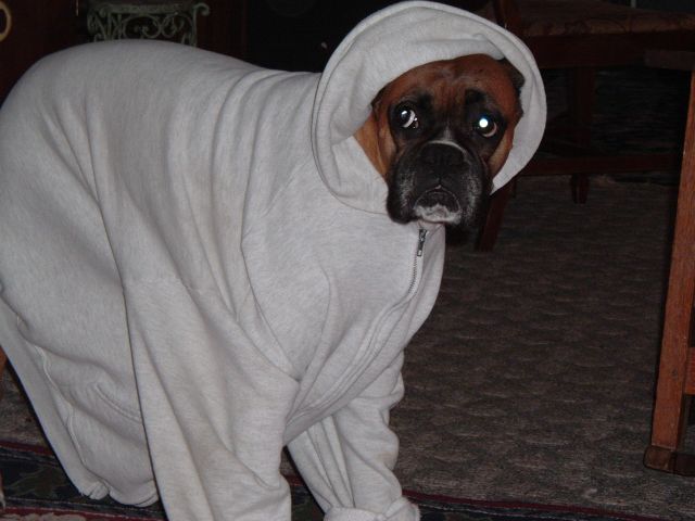 Magic Looking like ET