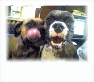Magoo and friend