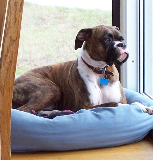 Magoo's favorite spot
