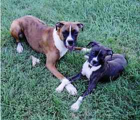 Mags_and_Bell2