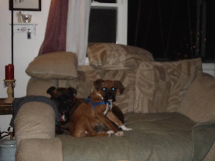 Major Pain sitting on Cassius