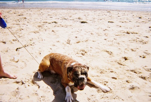 Major's day at the beach