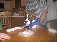 make_a_wish