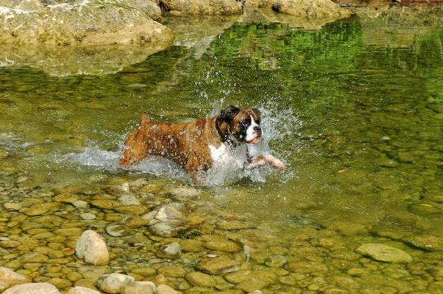making a splash