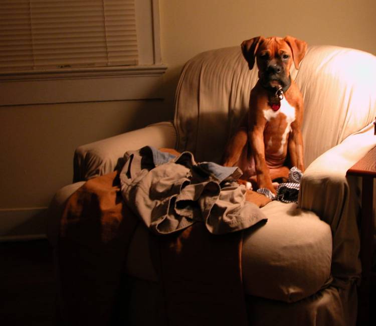 Making himself right at home.