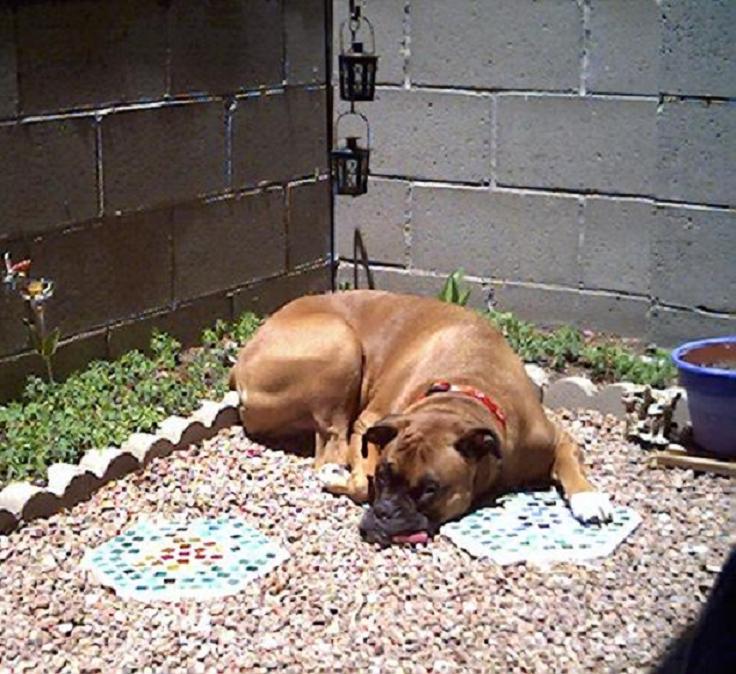 Making Mommy Feel Guilty by Laying in Rocks!