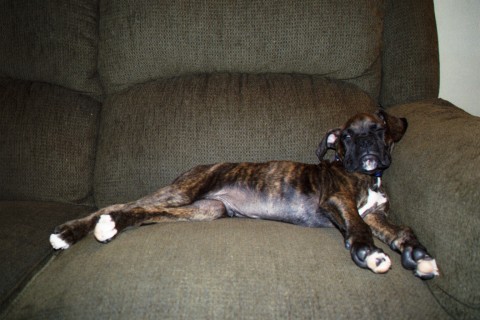 Making myself at home