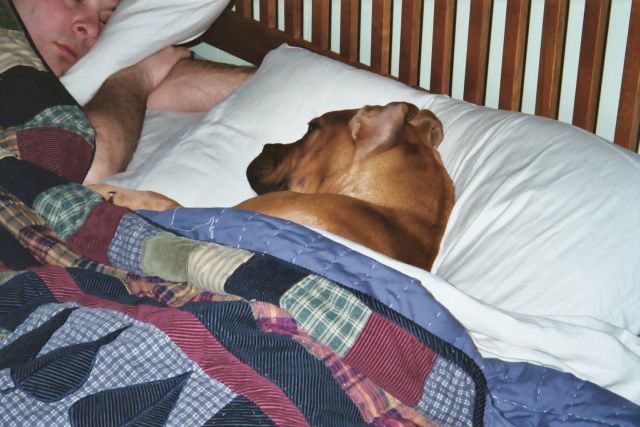 Male_Bonding