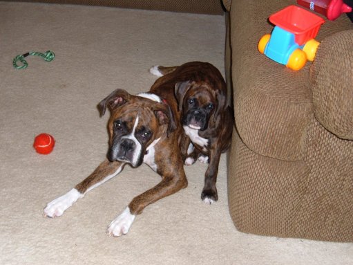 Mama and daughter