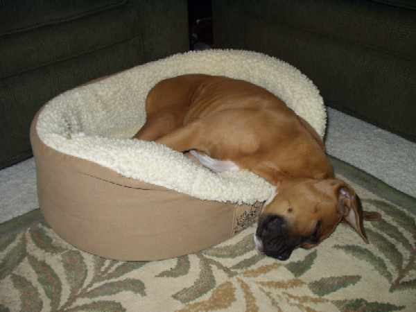 Man I love my bed