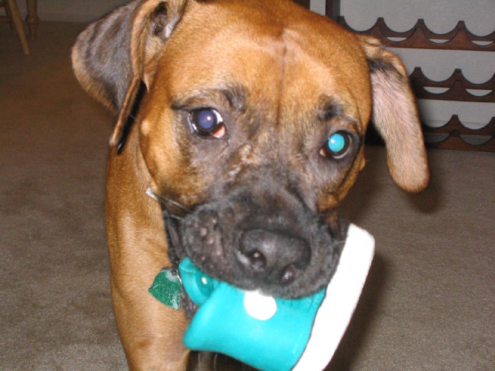 Man, oh man, do I love my shoe!