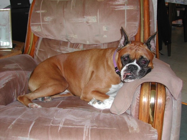 Mandi relaxing as always