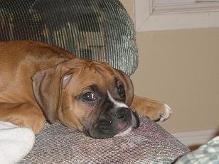 Mangus_2007-03-08_001